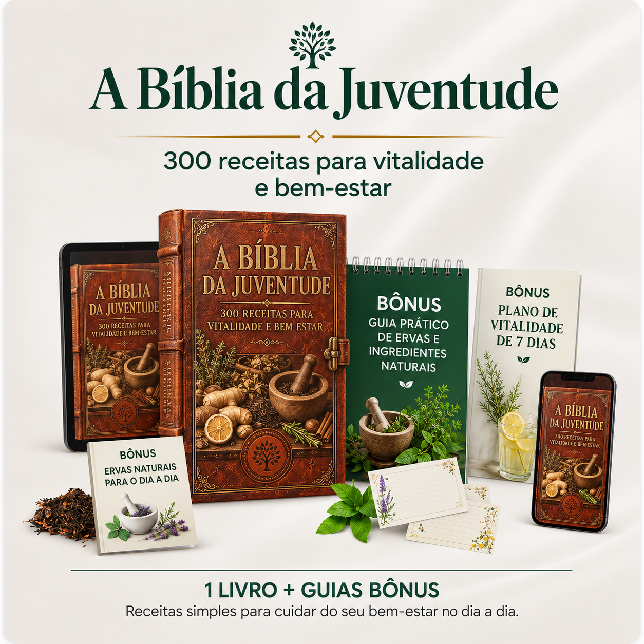Bíblia da Juventude — Foto 1